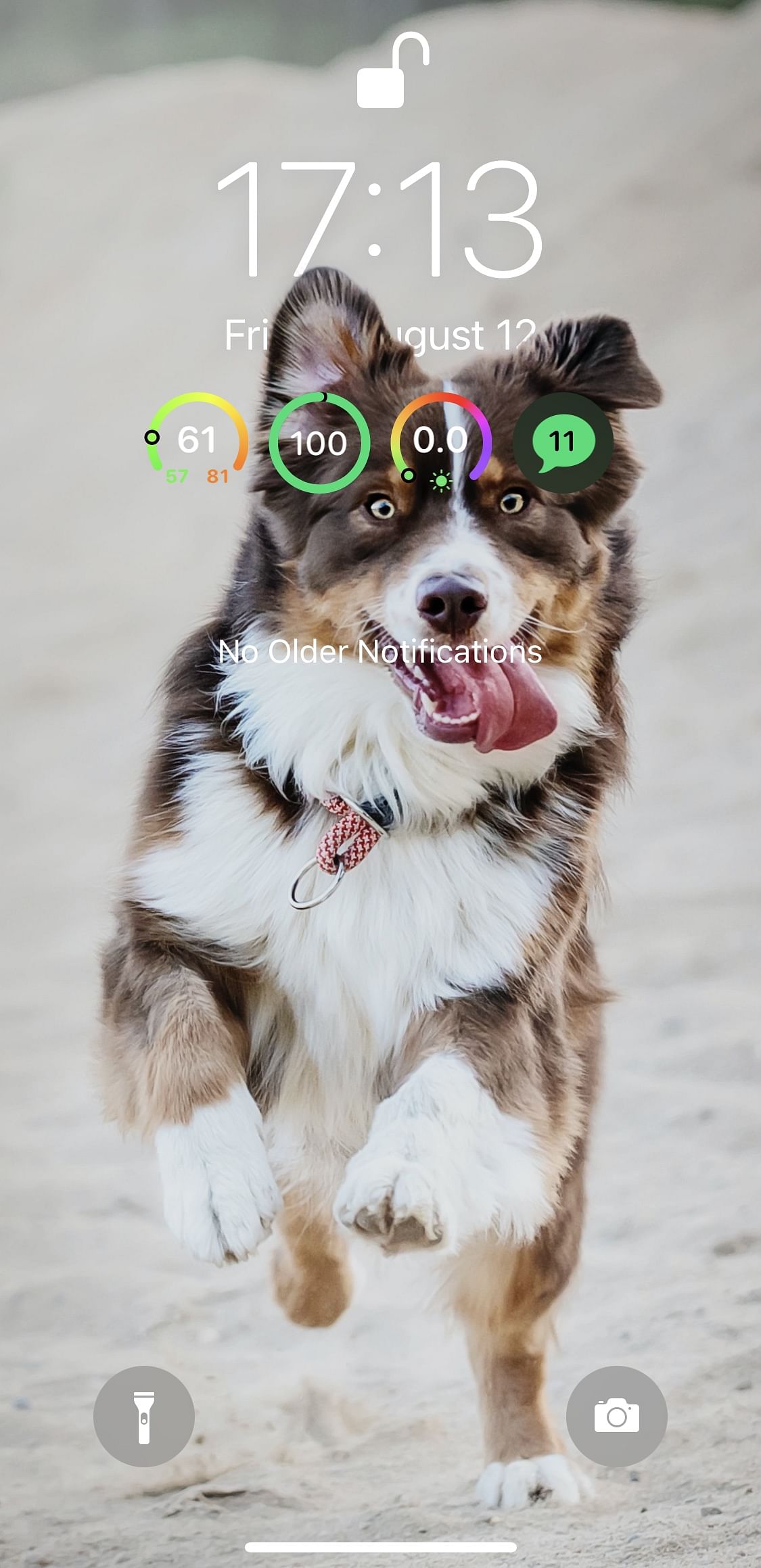 Exiwall Tweak Screenshot