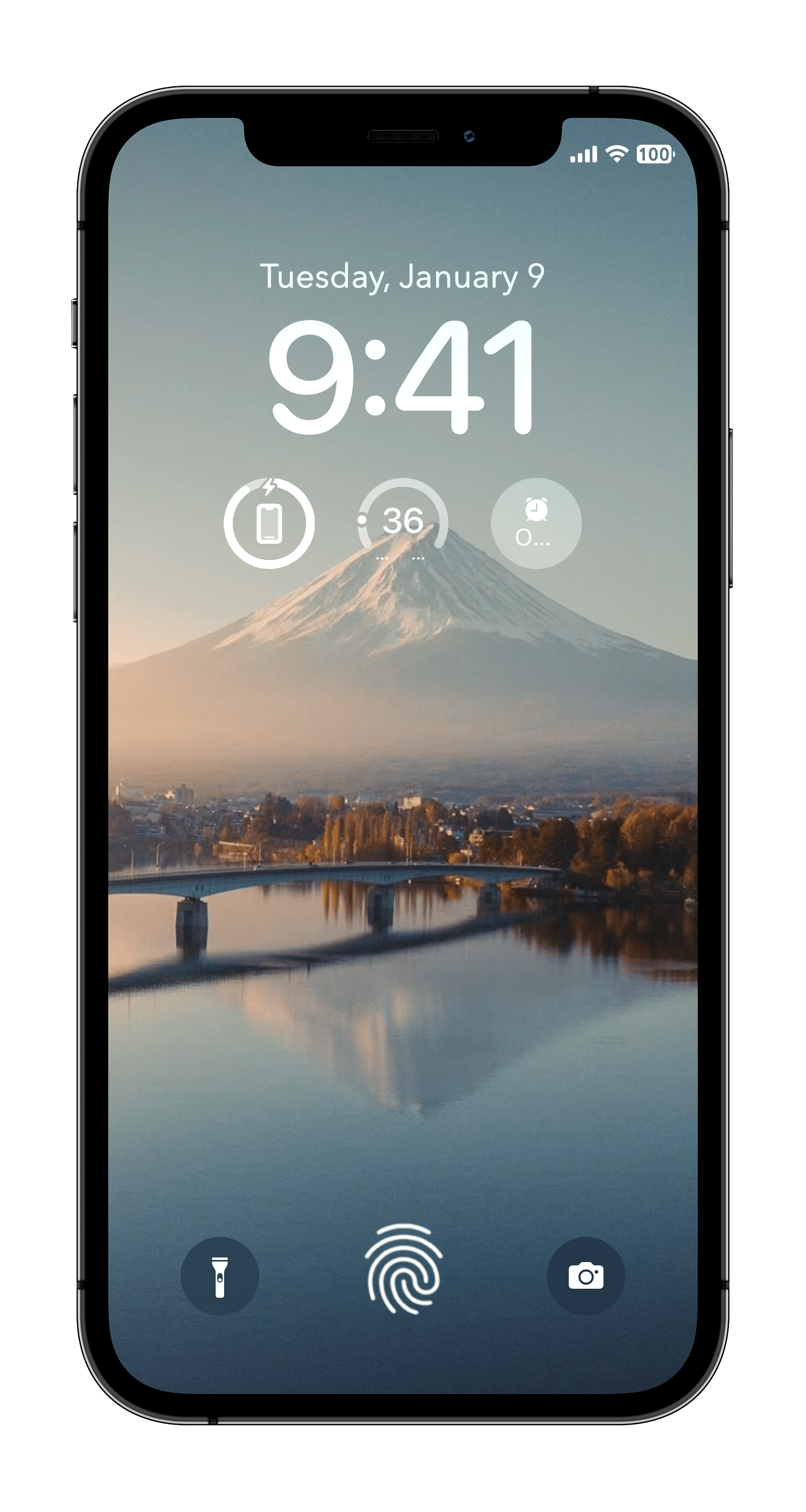 FingerLock Tweak Screenshot
