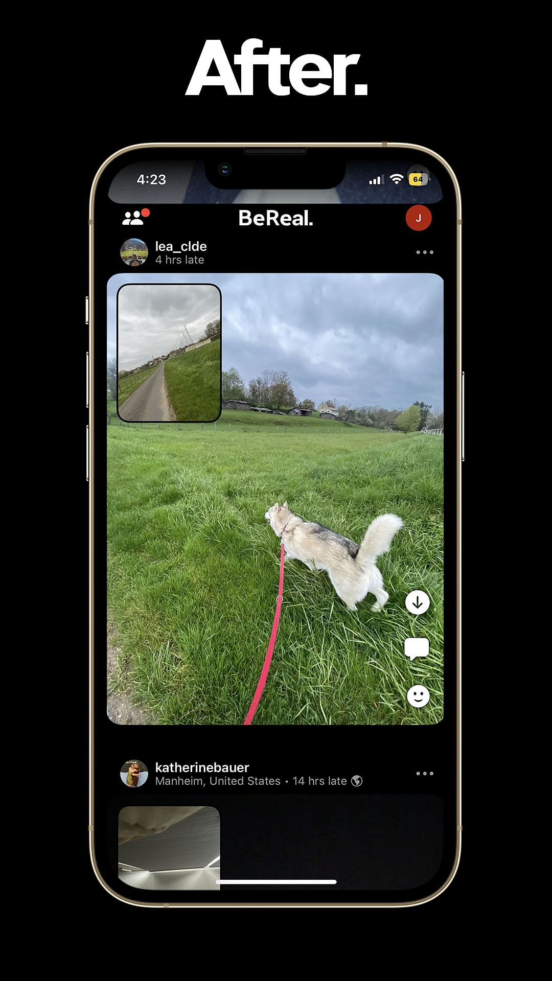Bea Tweak Screenshot