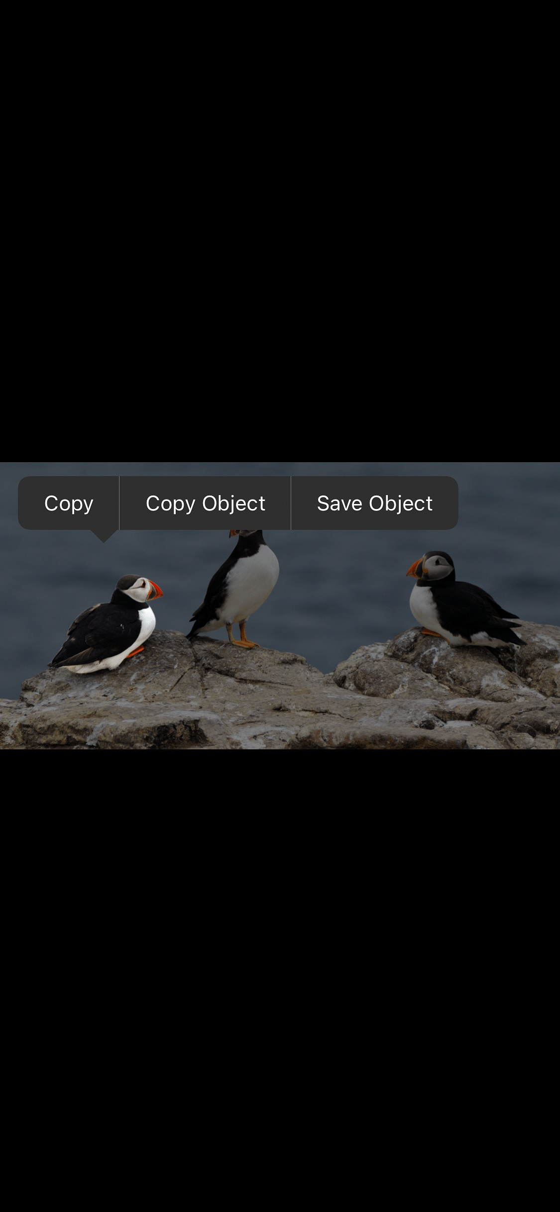 ENA - Extract Nearly Anything Tweak Screenshot