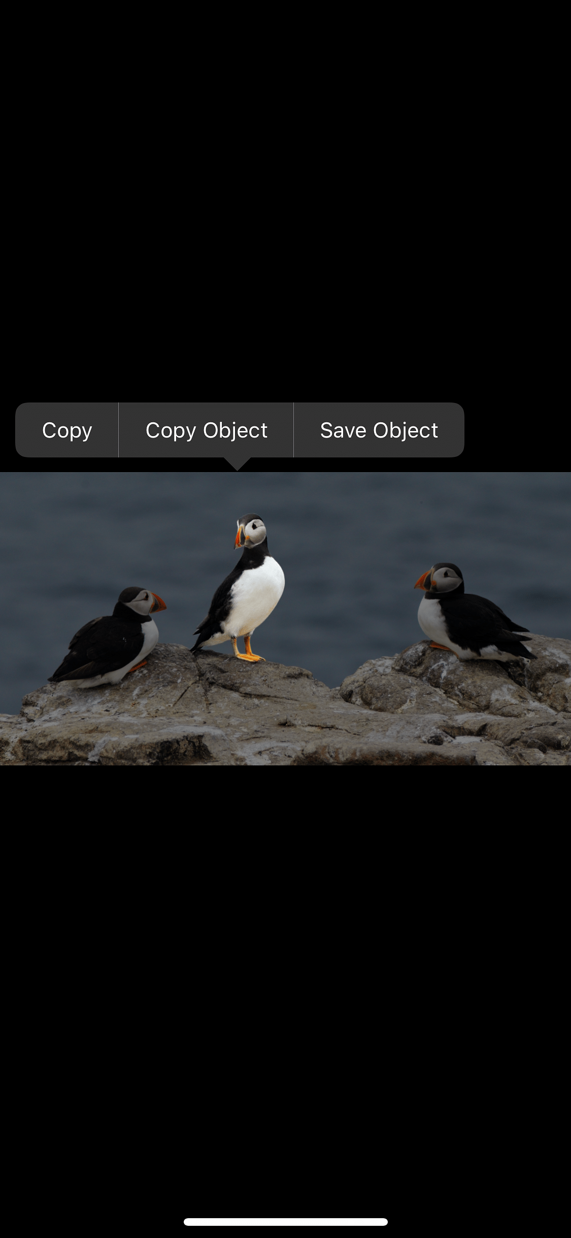 ENA - Extract Nearly Anything Tweak Screenshot